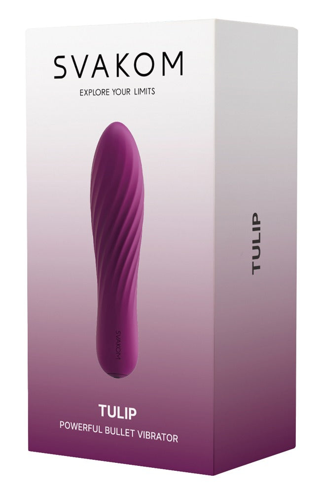 Tulipa